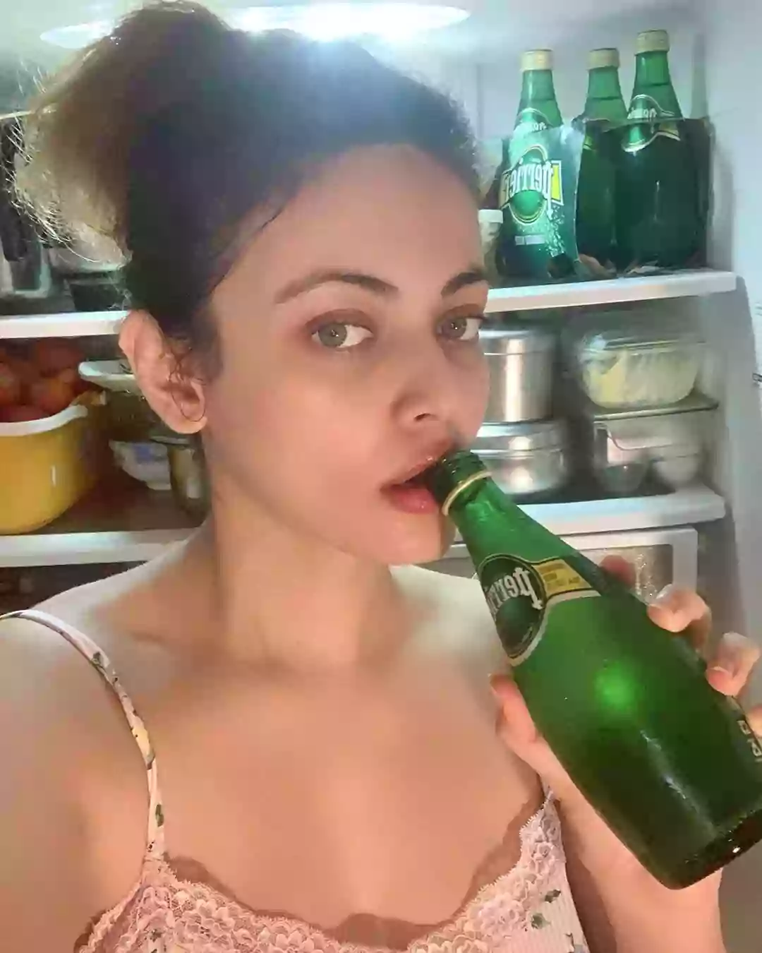 Lesser Known Facts About Sneha Ullal celebzbiography.com